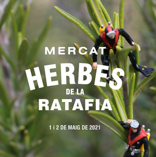 Mercat de les Herbes de la Ratafia,
