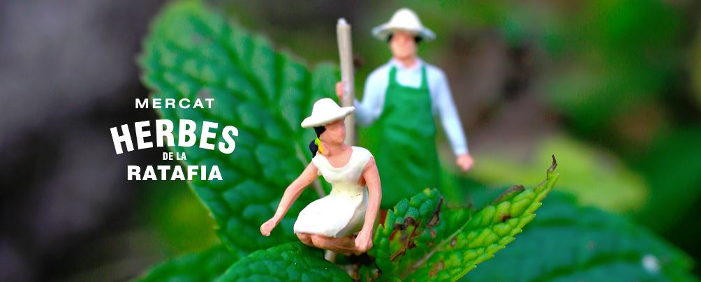 6è Mercat de les Herbes de la Ratafia Santa Coloma de Farners