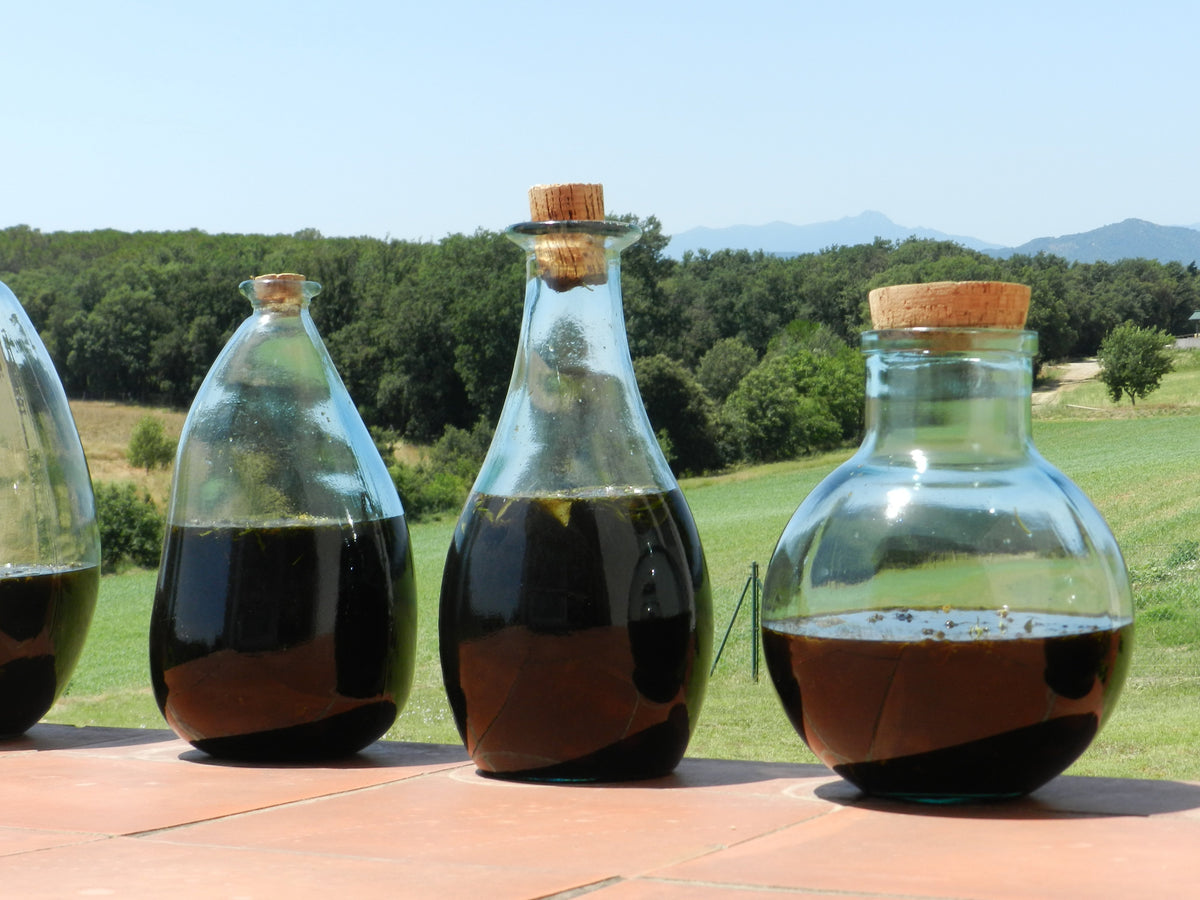ratafia casolana a sol i serena vilobí d' onyar